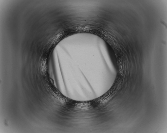 X0000097000708200802291147