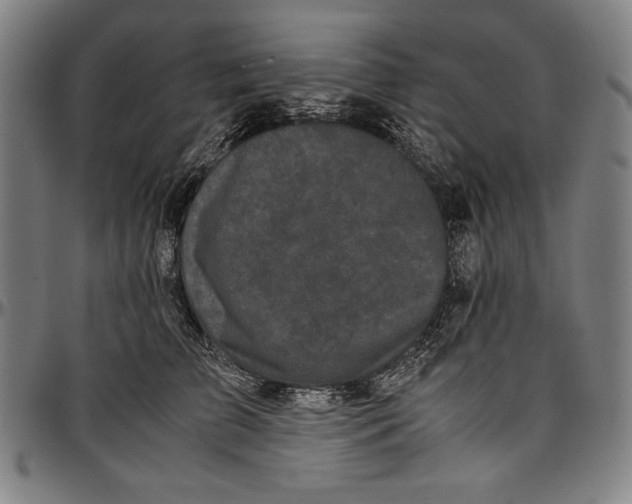 X0000097000709200802291147