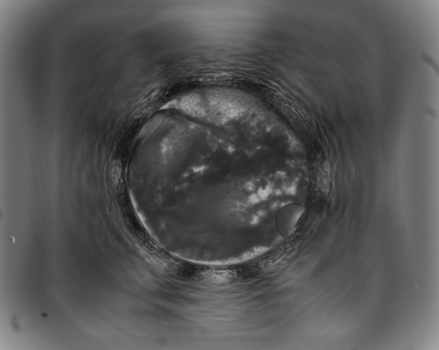 X0000097000711200802291147