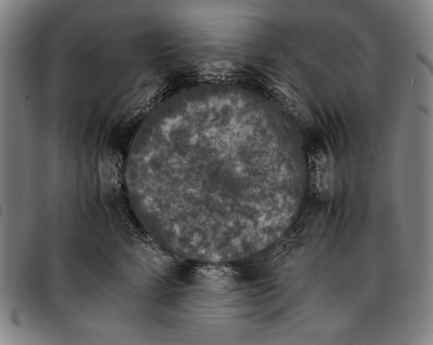 X0000097000712200802291147