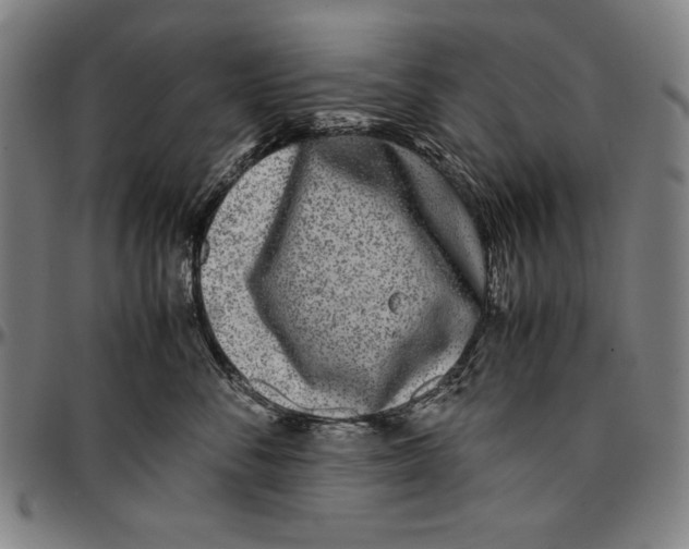 X0000097000716200802291147