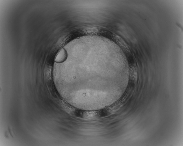 X0000097000717200802291147