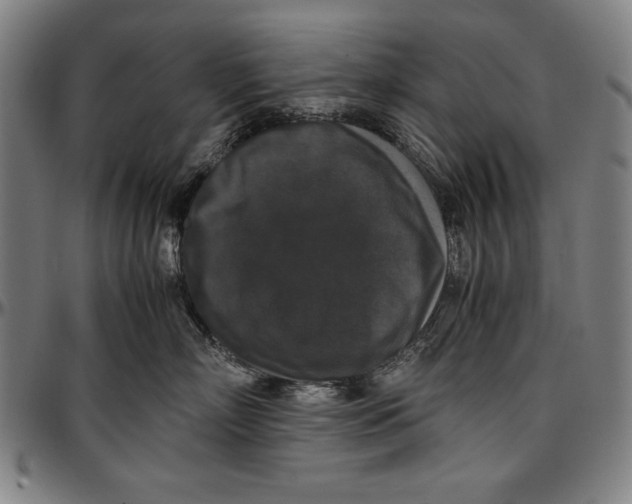 X0000097000718200802291147