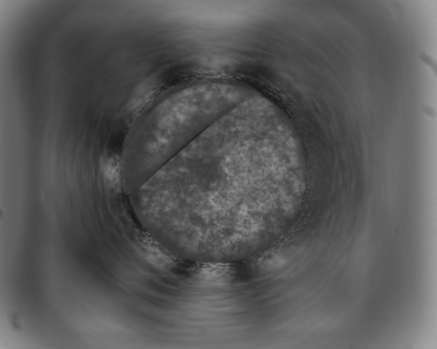 X0000097000720200802291147