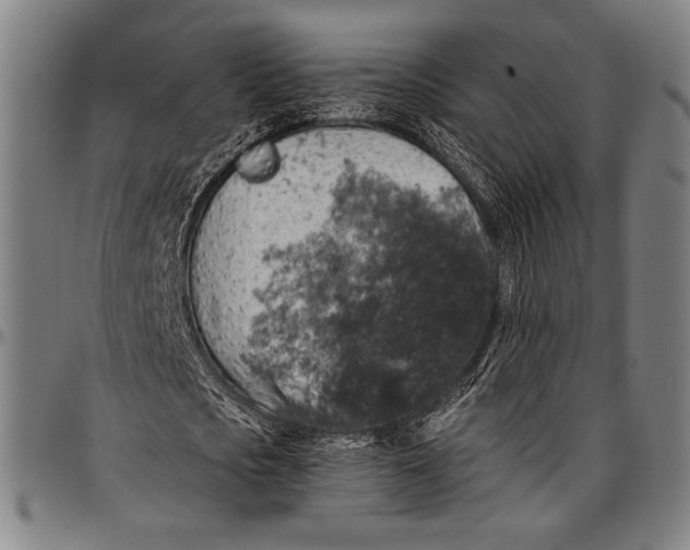 X0000097000721200802291146