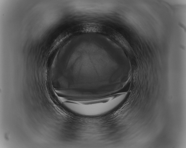 X0000097000722200802291146