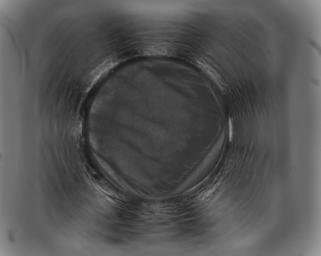 X0000097000723200802291146