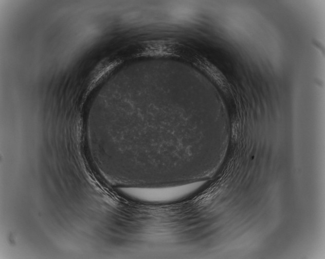 X0000097000724200802291146