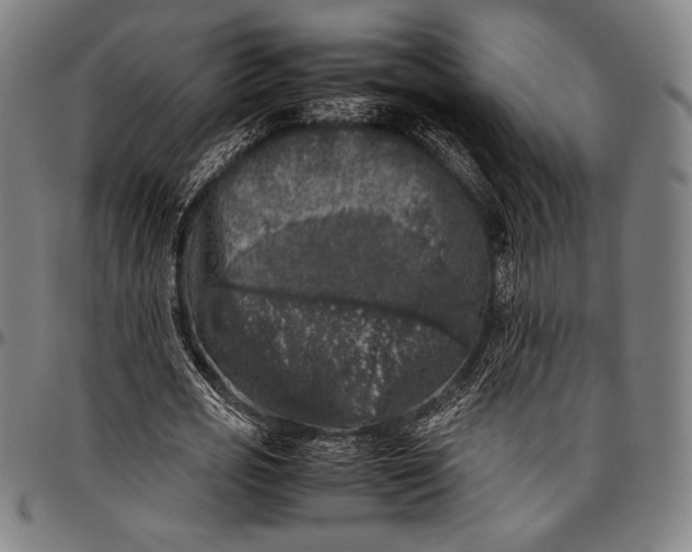 X0000097000725200802291146