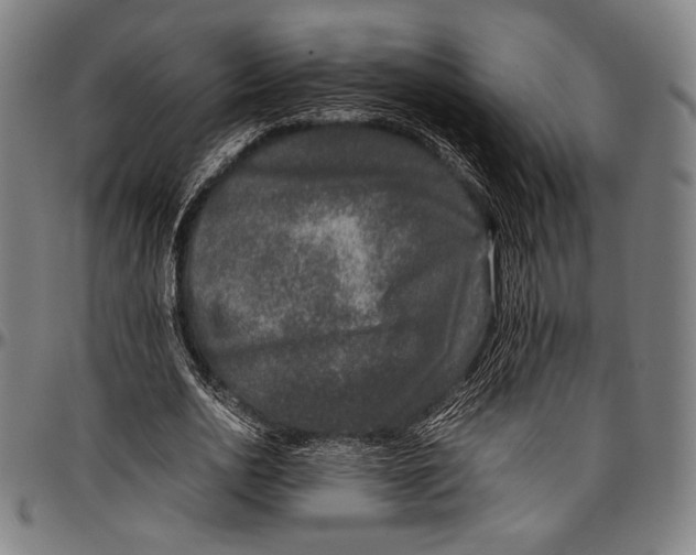 X0000097000726200802291146