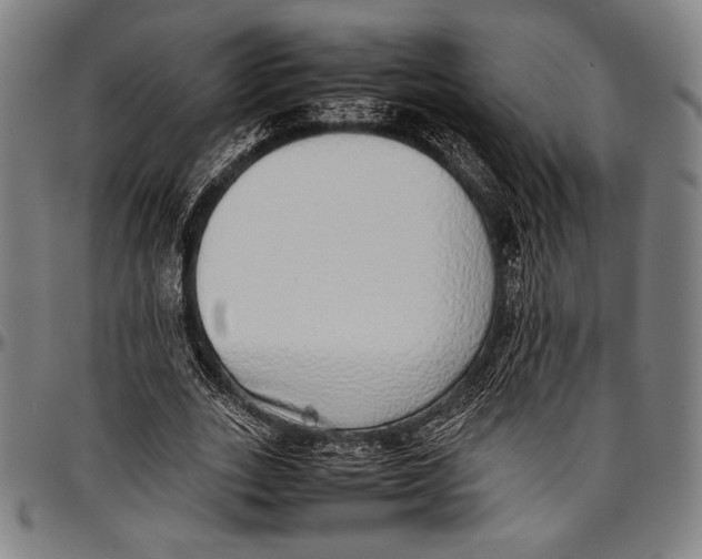 X0000097000727200802291147