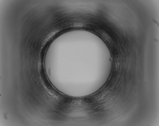 X0000097000728200802291147