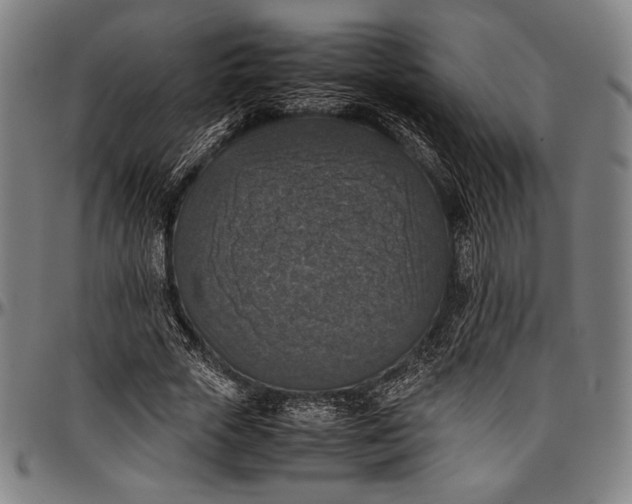 X0000097000729200802291147