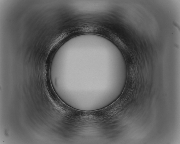 X0000097000730200802291147