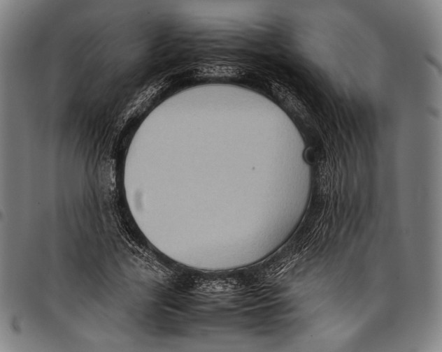 X0000097000731200802291147