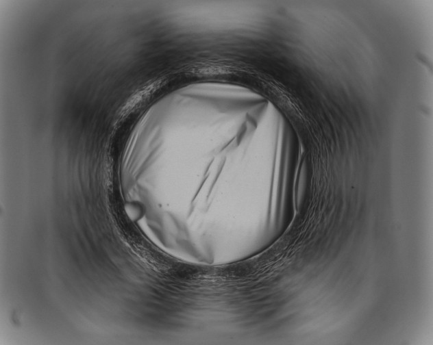 X0000097000732200802291147