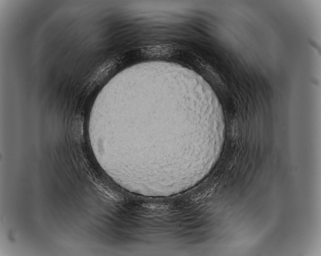 X0000097000733200802291147