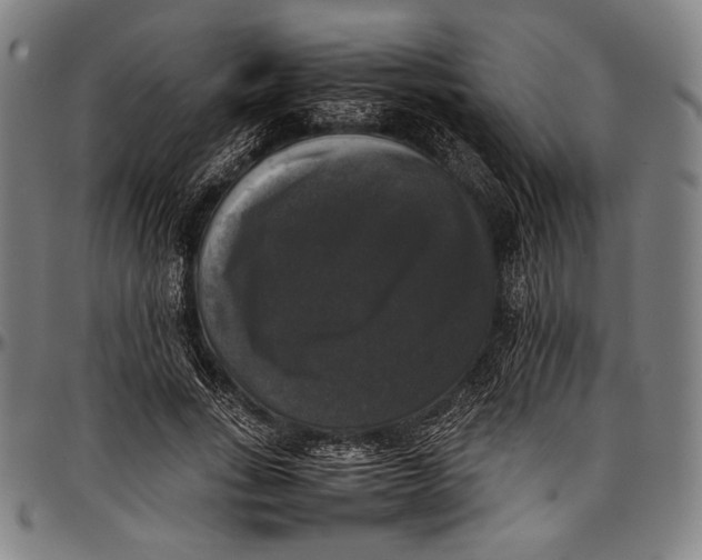 X0000097000735200802291147