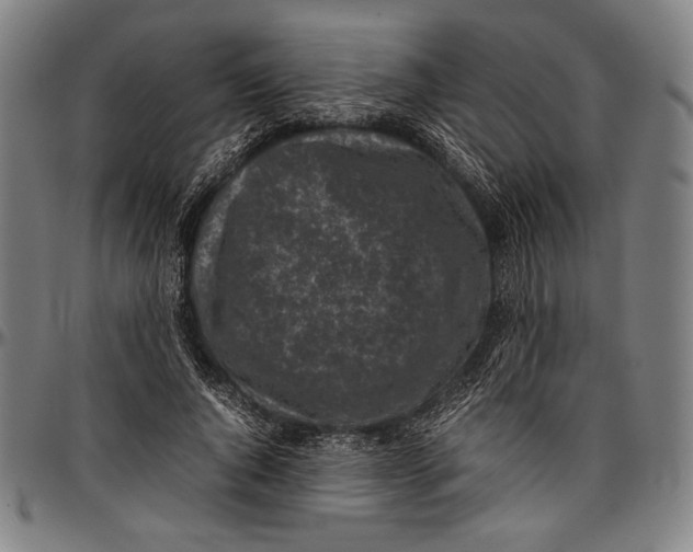 X0000097000736200802291147