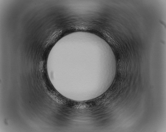 X0000097000738200802291147