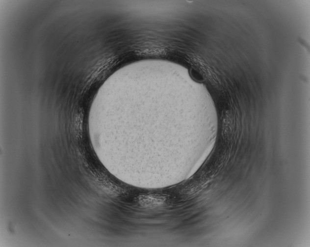 X0000097000739200802291147