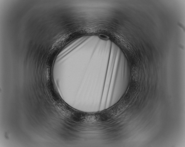 X0000097000740200802291147