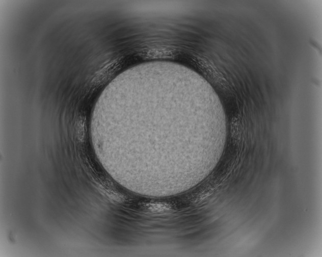 X0000097000741200802291147