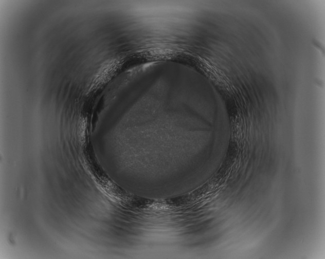 X0000097000742200802291147