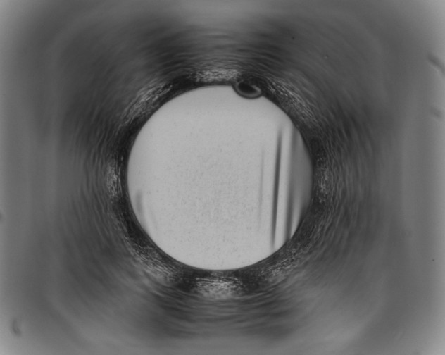 X0000097000743200802291147