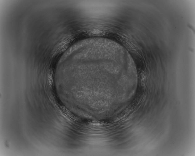 X0000097000746200802291147