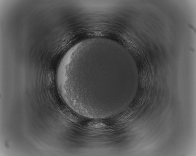 X0000097000747200802291147