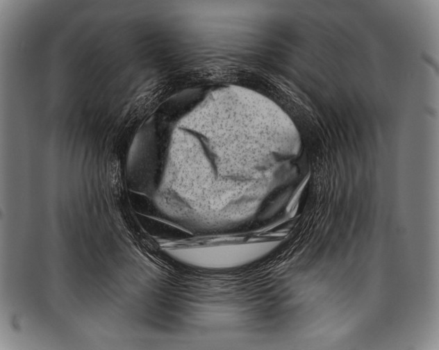 X0000097000748200802291147