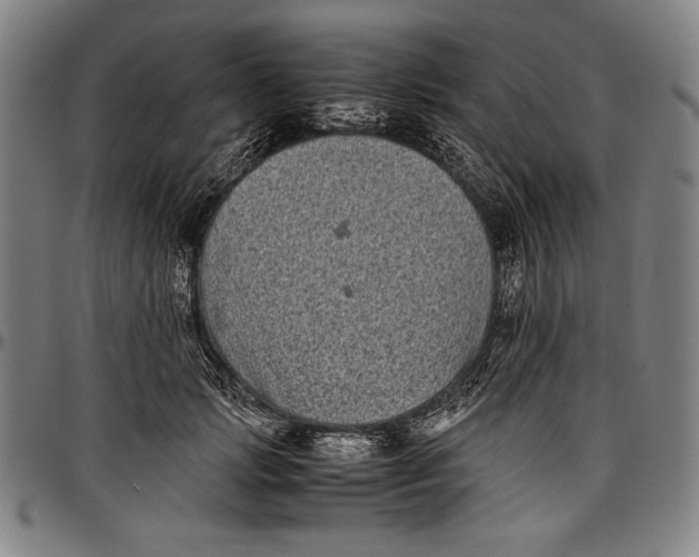 X0000097000749200802291147