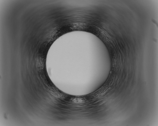 X0000097000751200802291147