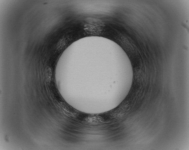 X0000097000752200802291147