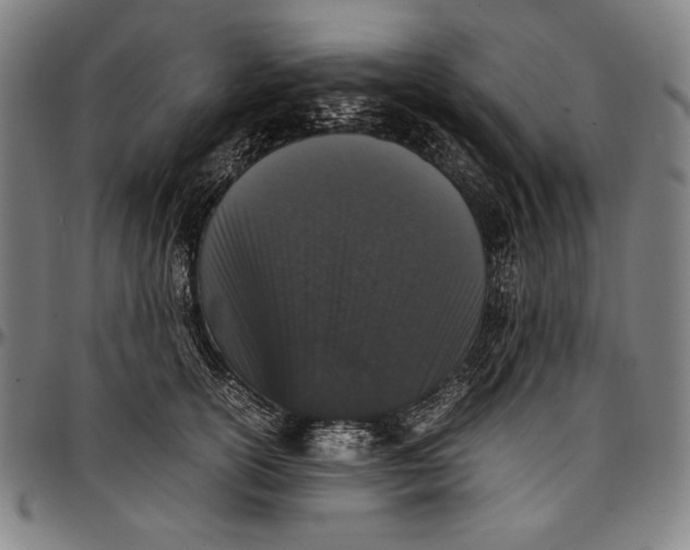 X0000097000754200802291147