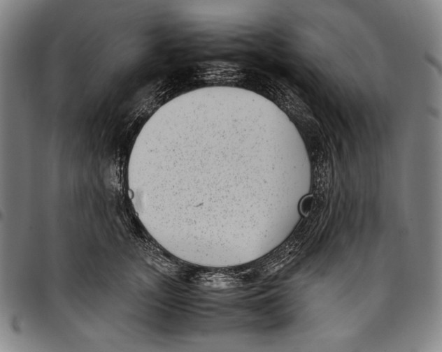 X0000097000755200802291147