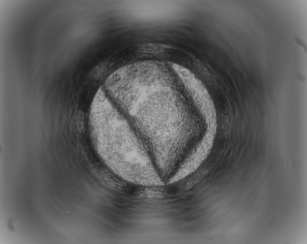 X0000097000758200802291147