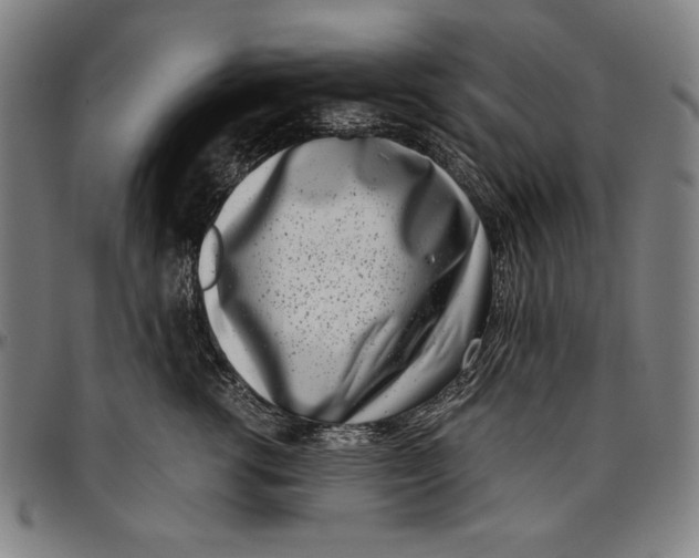 X0000097000762200802291147