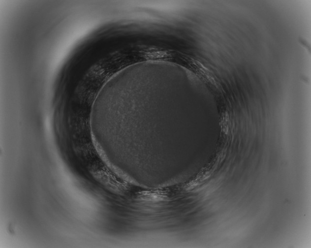 X0000097000763200802291147