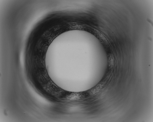 X0000097000764200802291147