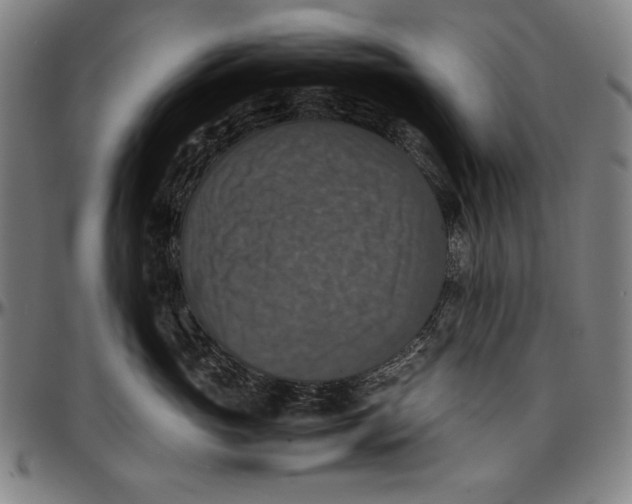 X0000097000765200802291147