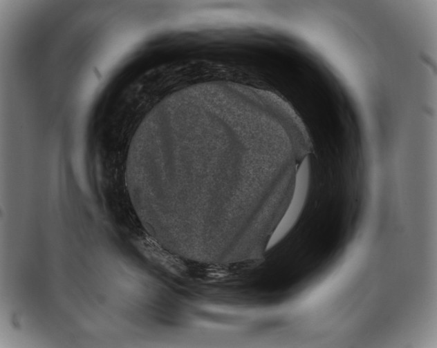 X0000097000766200802291147