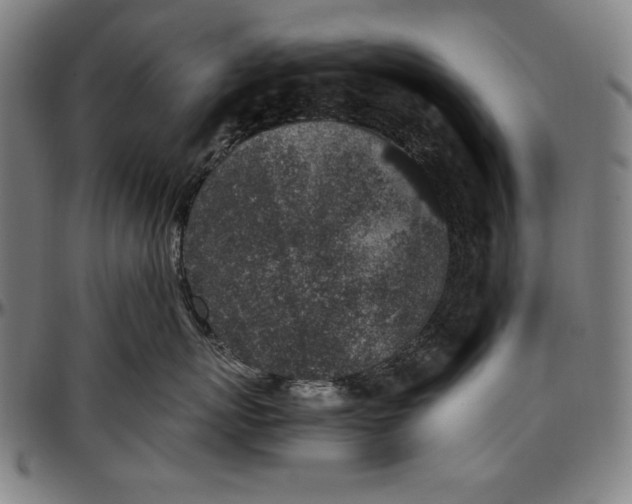 X0000097000767200802291147