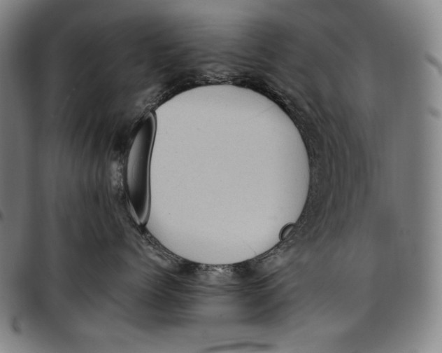 X0000097000768200802291147