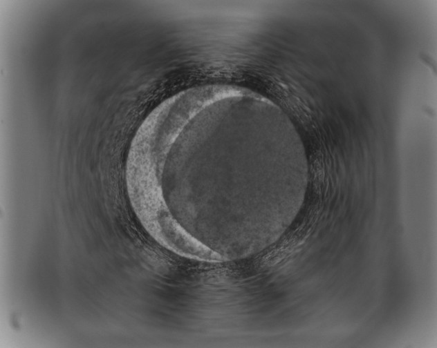 X0000097000769200802291146