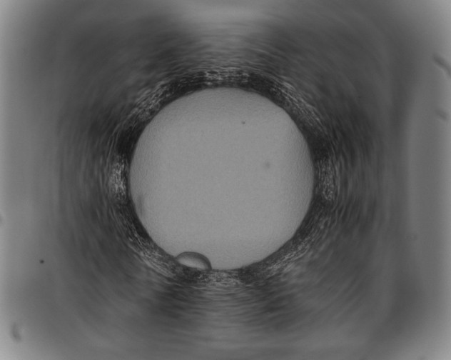 X0000097000770200802291146