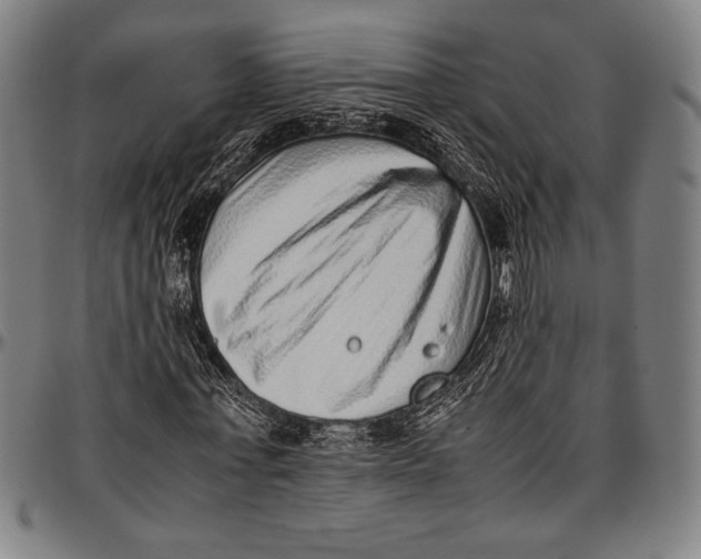 X0000097000771200802291146