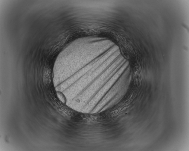 X0000097000772200802291146