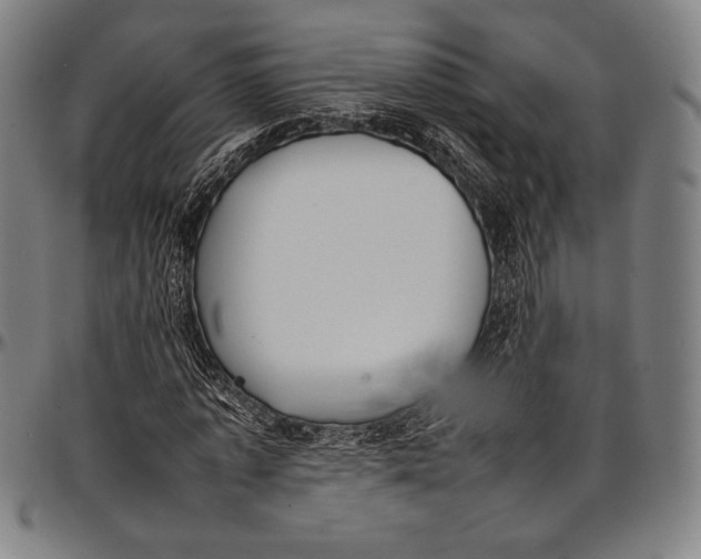 X0000097000773200802291146